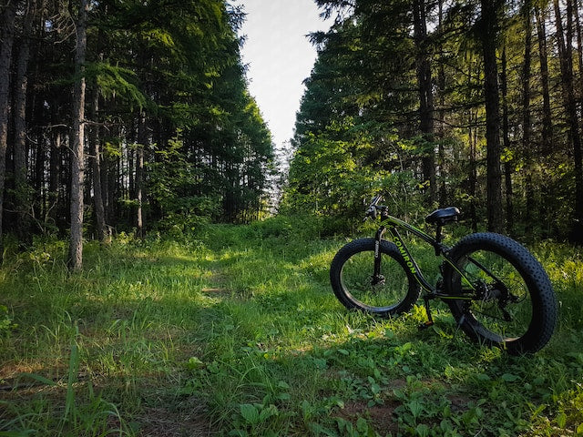 Alles wat u moet weten over de elektrische fatbike..