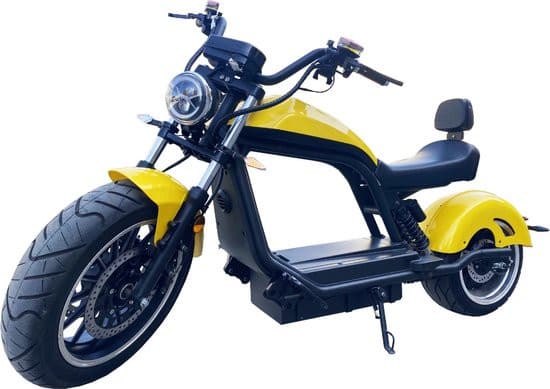 E-Chopper 6.0 Elektrische Scooters